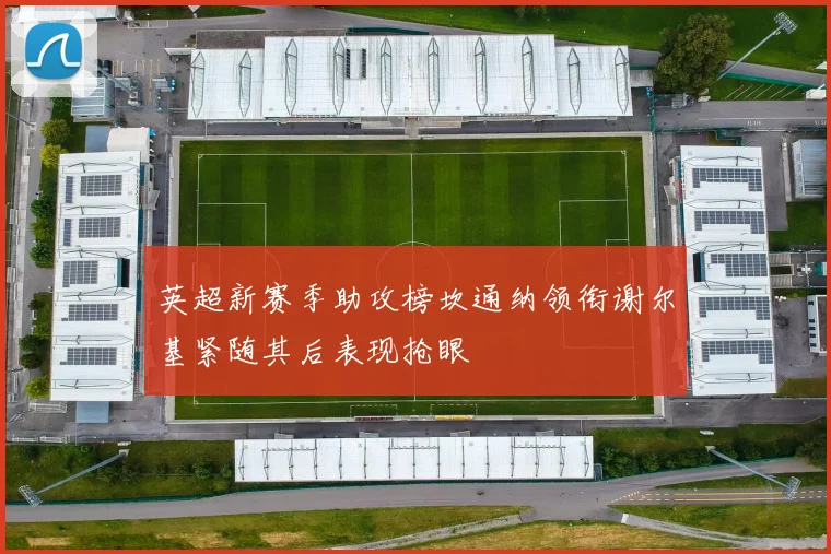 英超新赛季助攻榜坎通纳领衔谢尔基紧随其后表现抢眼